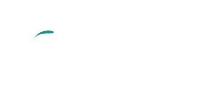 Flor Fundation